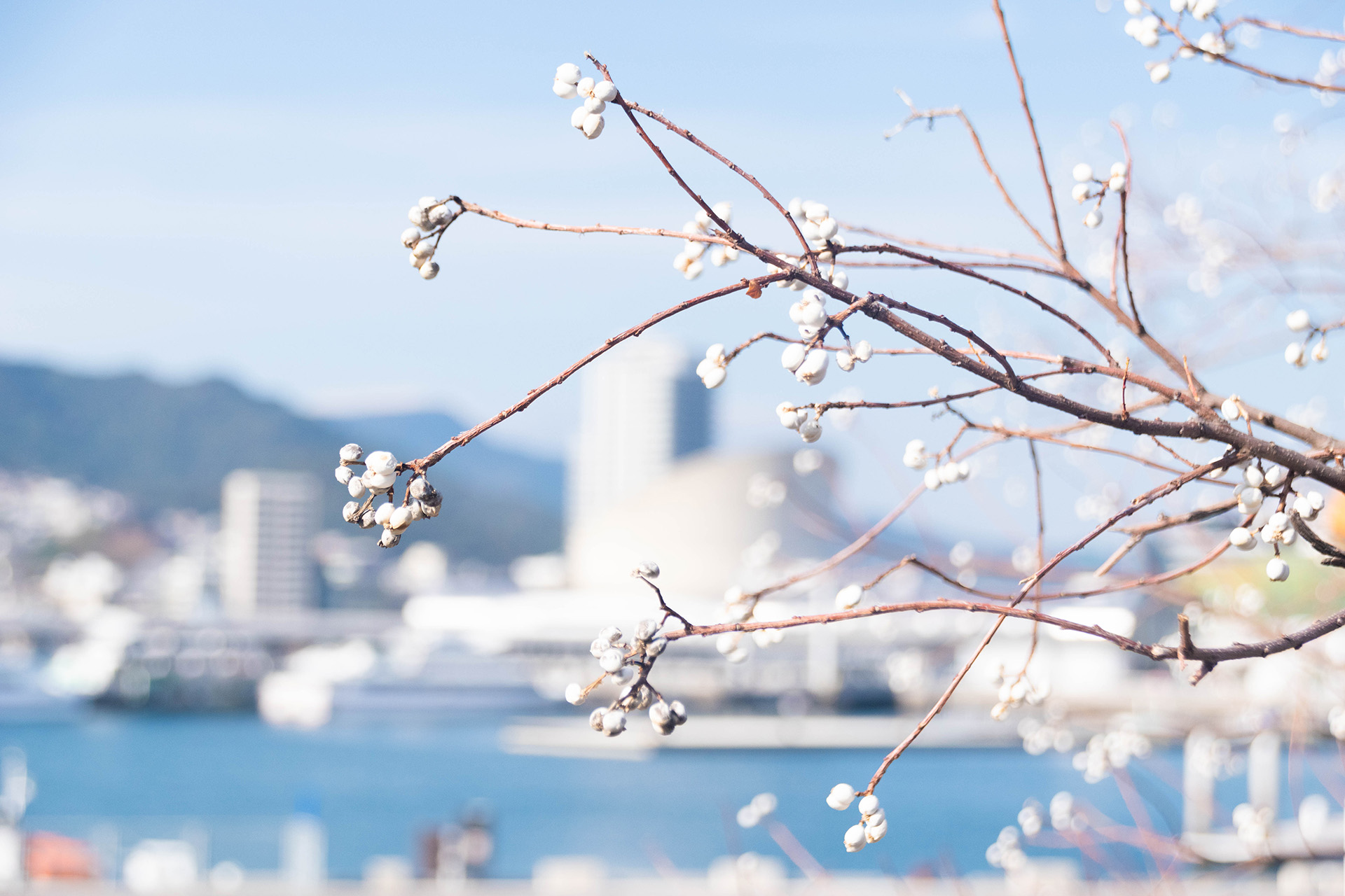 出島周辺の写真